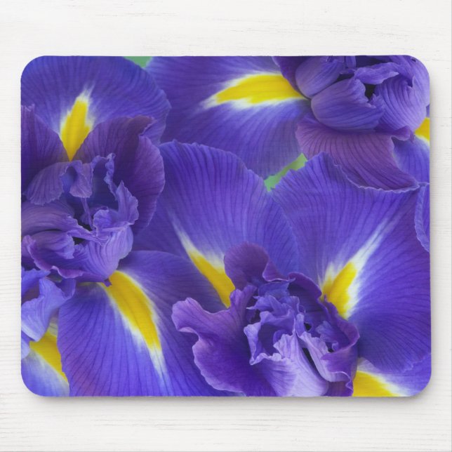 Iris-Blume Mousepad (Vorne)