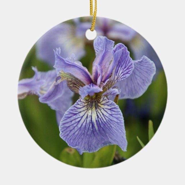 Iris Blume Ornament (Vorne)