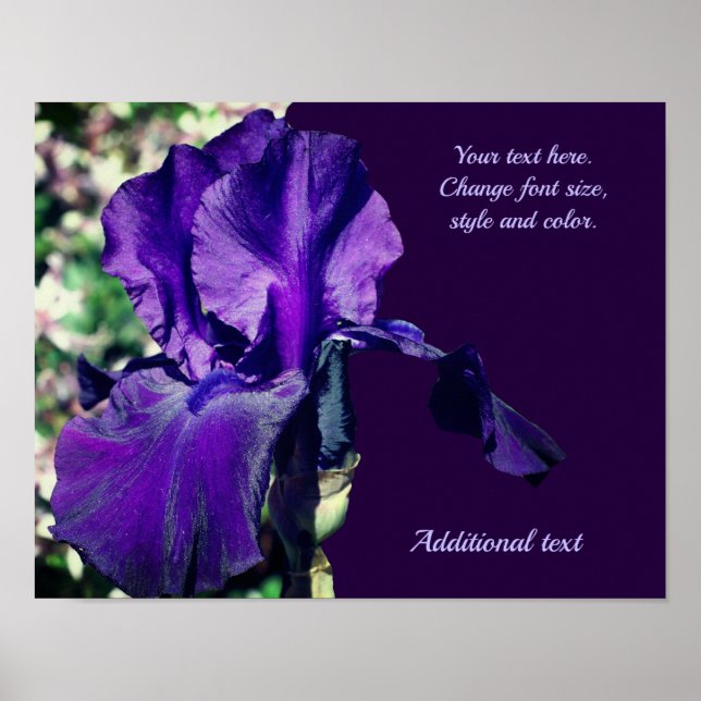 Iris-Blume Personalisierten Text hinzufügen Poster (Vorne)