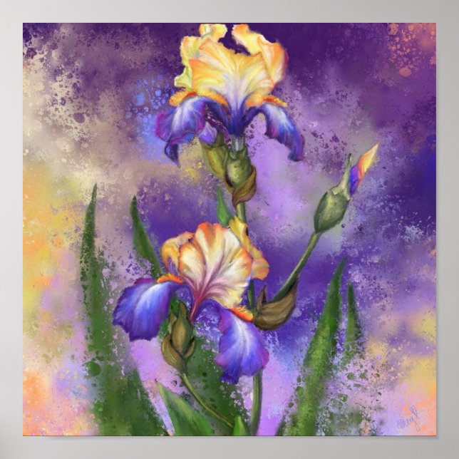 Iris Blume Poster Irische Malerei (Vorne)