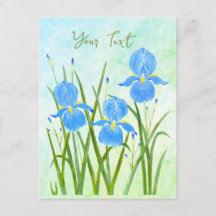 Iris Blume Postkarten