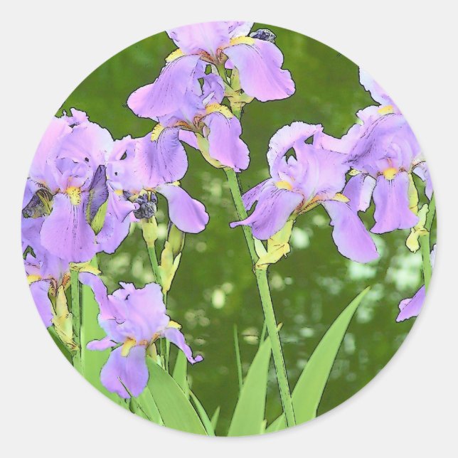 Iris-Blume Runder Aufkleber (Vorderseite)