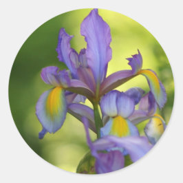 Iris Blume Stickers