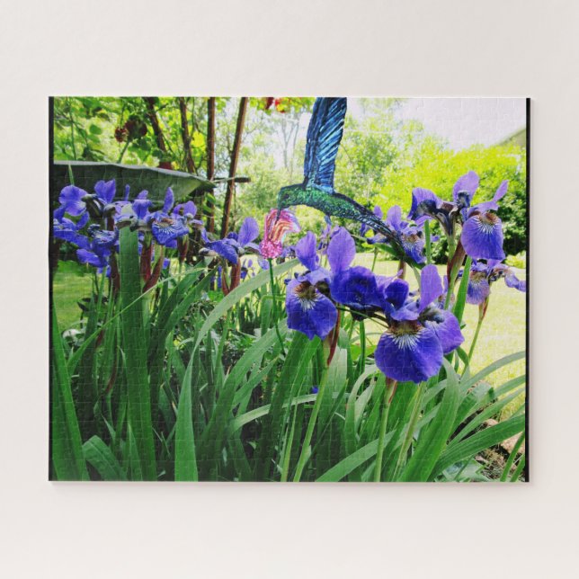 IRIS-BLUME UND DAS HUMMINGBIRD-Rätsel Puzzle (Horizontal)