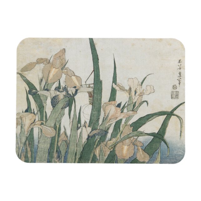 Iris-Blume und Grasshopper, c.1830-31 Magnet (Horizontal)