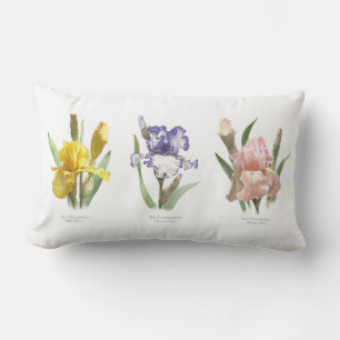 Iris-Blumen-Garten Lendenkissen