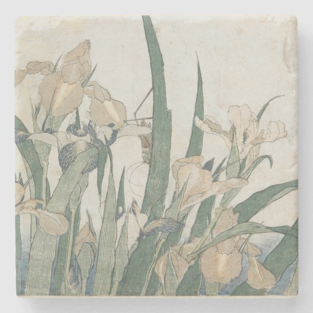Iris-Blumen und Heuschrecke, c.1830-31 Steinuntersetzer (Vorderseite)