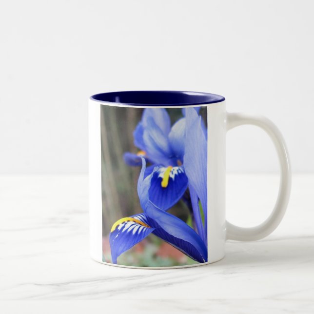 Iris-Blütenblätter mit zweifarbiger Keramik Tasse (Rechts)