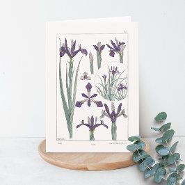 Iris Botanical Maurice Verneuil Blank Card Karte