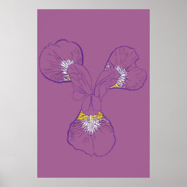 Iris Botanische Strichzeichnung Poster