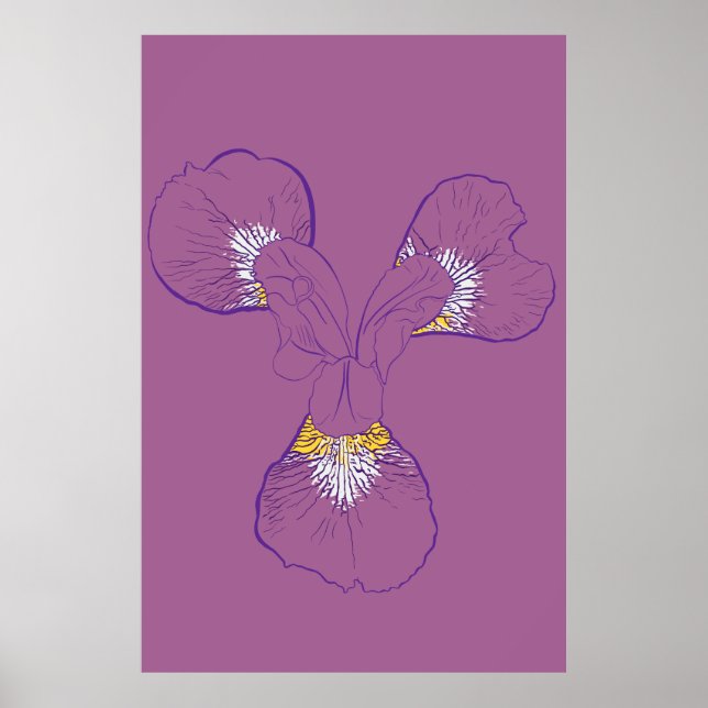 Iris Botanische Strichzeichnung Poster (Vorne)