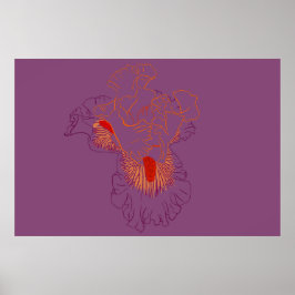 Iris Botanische Strichzeichnung Poster