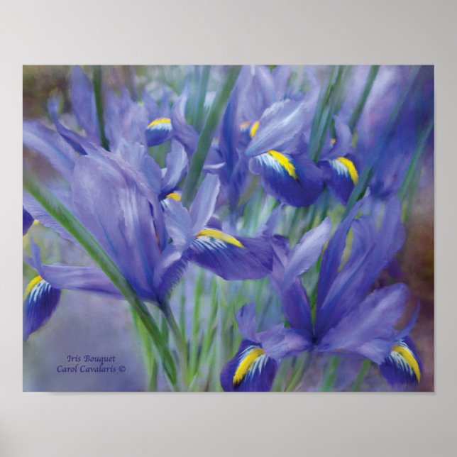 Iris Bouquet Art Poster/Print Poster (Vorne)