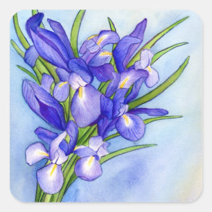 Iris Bouquet Blume Painting Sticker