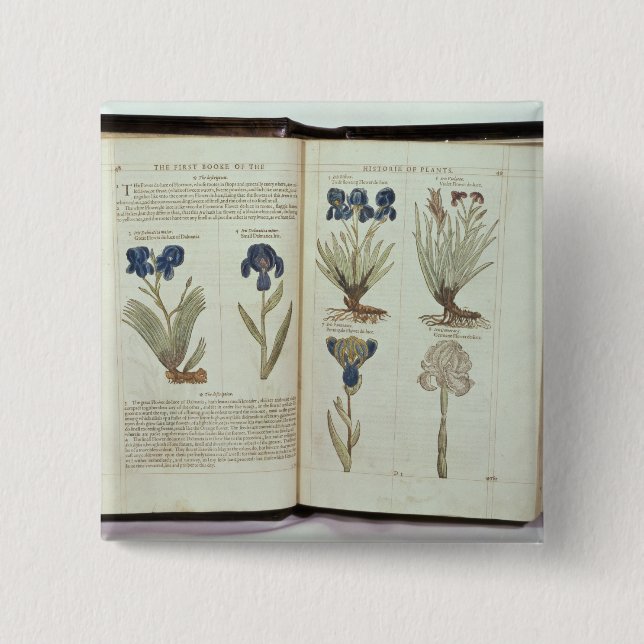 Iris Button (Vorderseite)