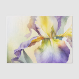 IRIS-Dekodiapier Seidenpapier