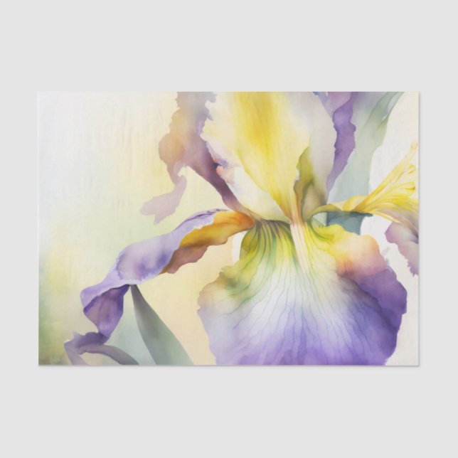 IRIS-Dekodiapier Seidenpapier (Vorderseite)