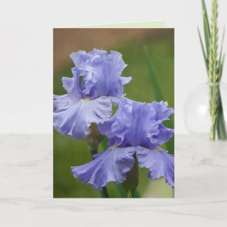 Iris Delight Karte