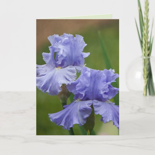 Iris Delight Karte (Vorderseite)