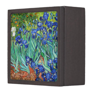 Iris durch Vincent van Gogh Kiste