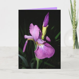 IRIS FEIERTAGSKARTE