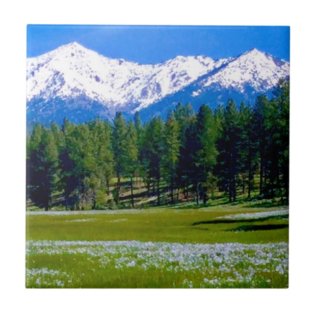 Iris Fields und das Elk Horn Mountains! Fliese (Vorderseite)