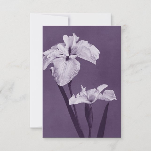 Iris Fine Art Dankeskarte (Vorderseite)