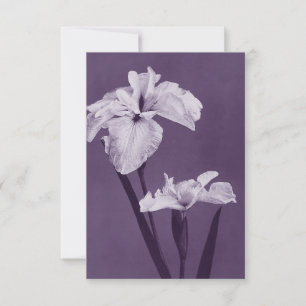 Iris Fine Art Dankeskarte