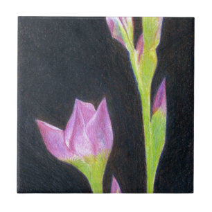 Iris Fliese