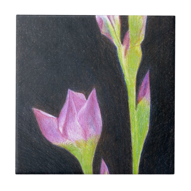 Iris Fliese (Vorderseite)