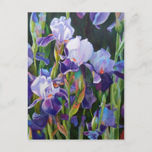 Iris Flower Garden Postkarte