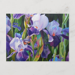 Iris Flower Garden Postkarte