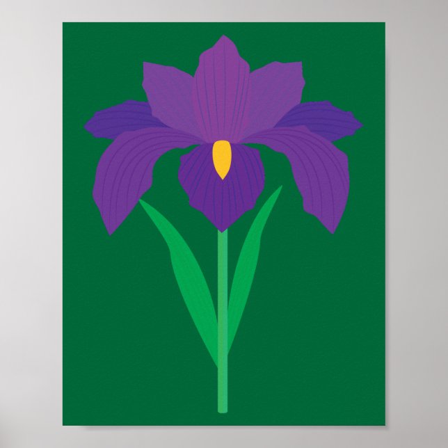 Iris Flower Poster (Vorne)