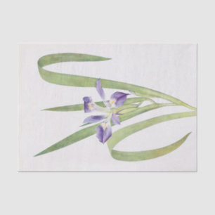 Iris Foliosa von William Dykes Seidenpapier