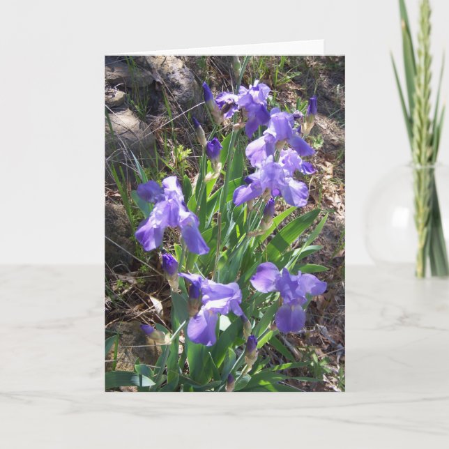 Iris Fower Garten-Gruß-Karte Karte (Vorderseite)