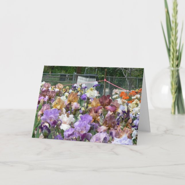 Iris Garden Dankeskarte (Vorderseite)