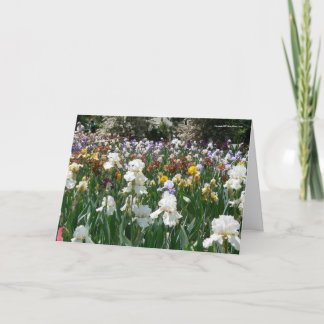 Iris Garden - Herzlichen Glückwunsch zum Geburtsta Karte
