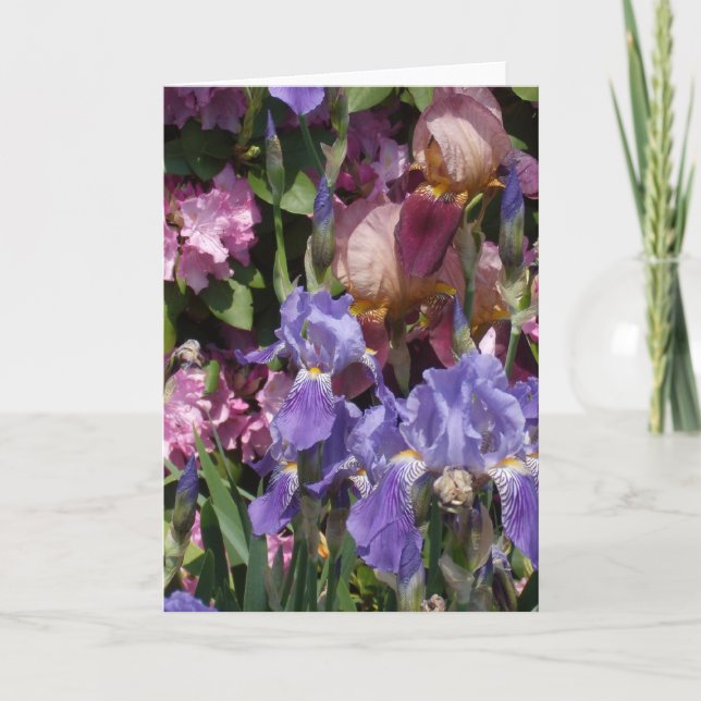 Iris-Garten-lila blaues Rosa Karte (Vorderseite)
