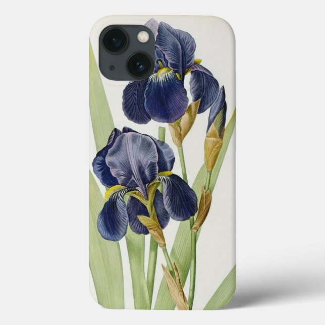 Iris Germanica, von "Les Liliacees", 1805 Case-Mate iPhone Hülle (Rückseite)