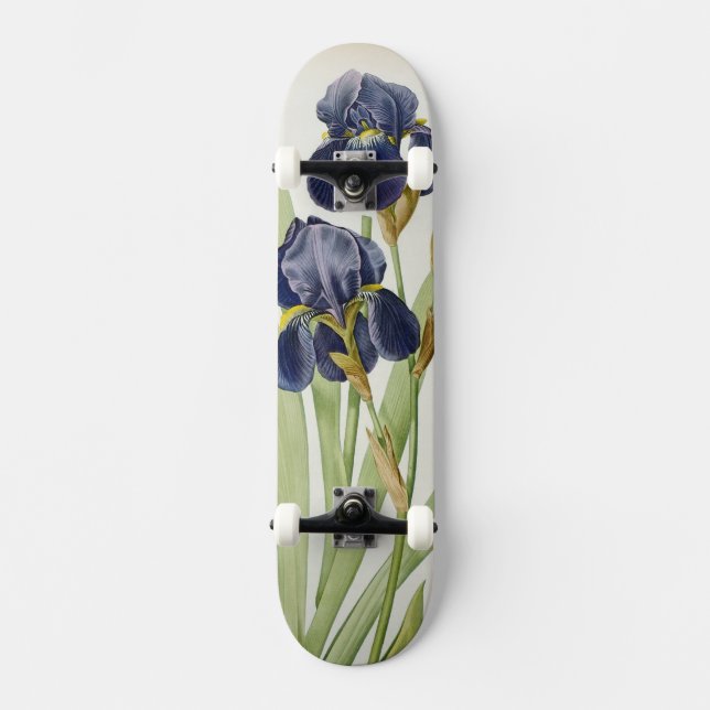 Iris Germanica, von "Les Liliacees", 1805 Skateboard (Vorderseite)