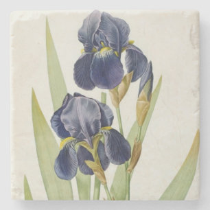 Iris Germanica, von "Les Liliacees", 1805 Steinuntersetzer