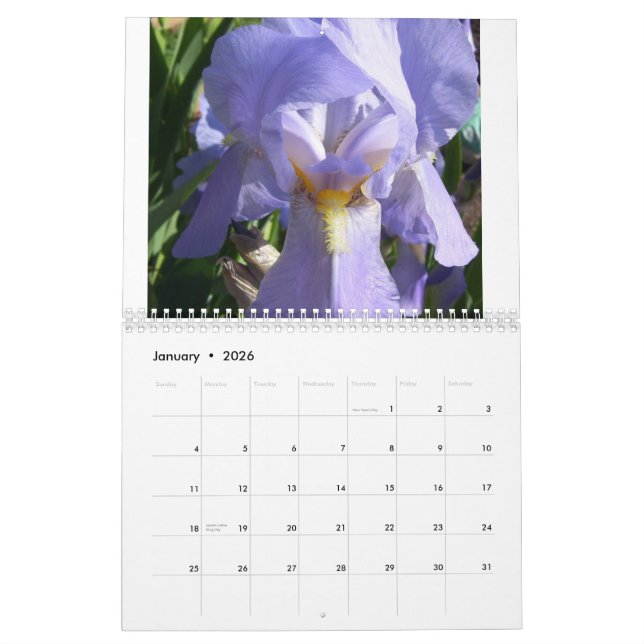Iris im Garten Kalender (Jan 2026)