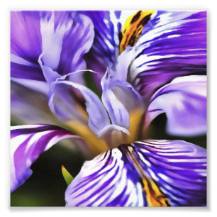 Iris in Violet Lilac und Lila botanische Kunst Fotodruck