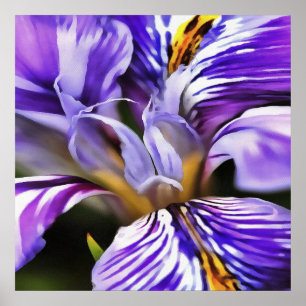 Iris in Violet Lilac und Lila botanische Kunst Poster
