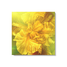 Iris innere Schönheit (Gelb) Quadrat Leinwand