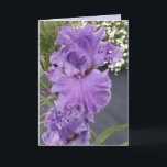 Iris Iris Lila Blume Floral Geburtstagskarte Karte<br><div class="desc">Iris Iris Lila Blume Blumenkarte. Entworfen aus einem meiner ursprünglichen Blumengartenfotos & meine ursprüngliche Schrift,  genießen Sie!</div>