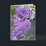 Iris Iris Lila Blume Floral Geburtstagskarte Karte<br><div class="desc">Iris Iris Lila Blume Blumenkarte. Entworfen aus einem meiner ursprünglichen Blumengartenfotos & meine ursprüngliche Schrift,  genießen Sie!</div>