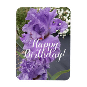 Iris Iris Lila Blume Floral Geburtstagskarte Magnet