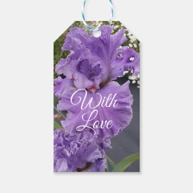 Iris Iris Lila Blume Floral Lavender Geschenkanhänger (Vorderseite)
