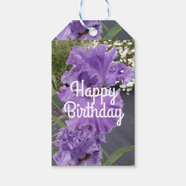 Iris Iris Lila Blume Floral Lavender Geschenkanhänger (Vorderseite)